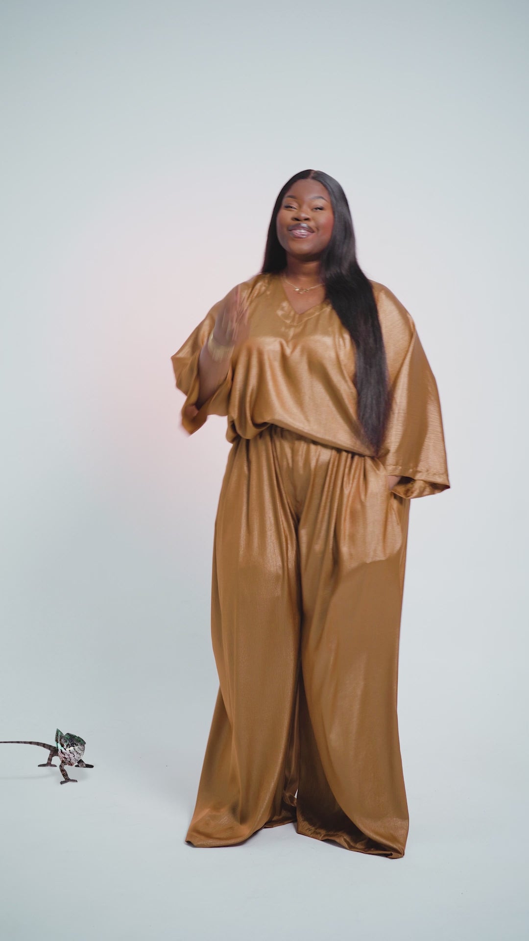 L'ensemble Caméléon